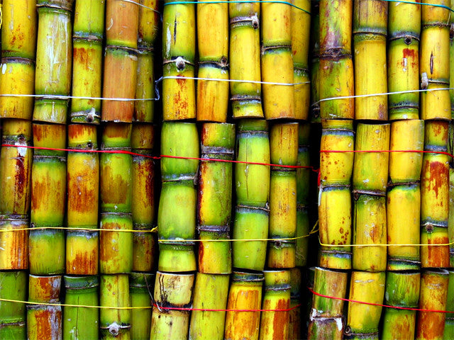 What is cane sugar? The Brutal Truth