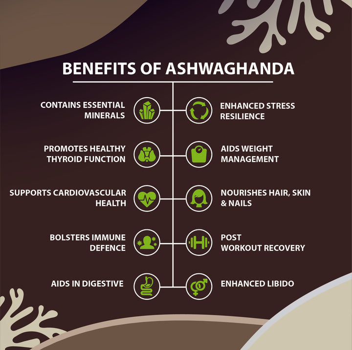 10 benefits of ashwaghanda infographic