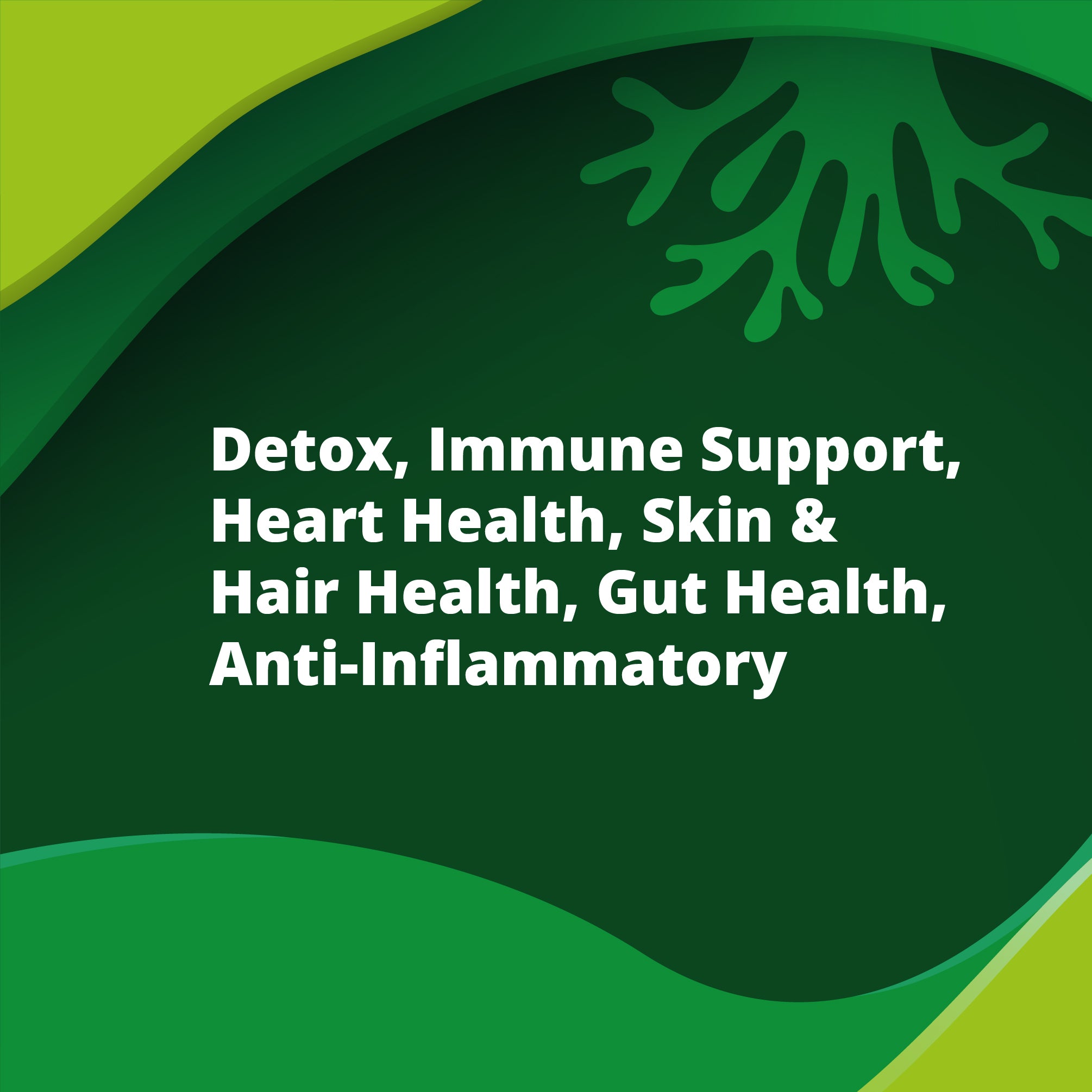 detox using moringa powder