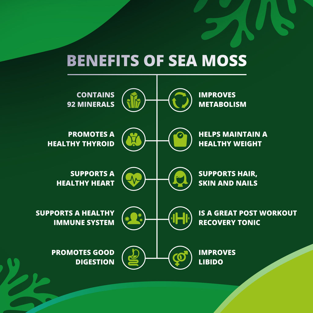 Sea Moss Capsules - Essential Vitamins & Minerals - 3600mg - 60 Capsules - New Earth Organic Essentials